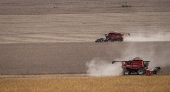 Em Goiás, VBP da Agropecuária deve ser de R$ 95,8 bilhões em 2021